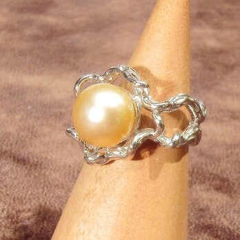 9.59ct,11.5mm南洋真珠とSV925のリング（指輪のサイズ：10号、サイズ変更無料、ロジウム）の画像