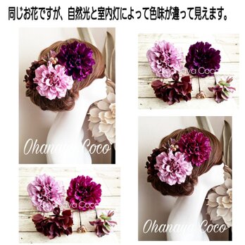 艶姫ダリアとチョコレート紫陽花の髪飾り5点Set No646の画像