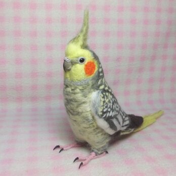 リアルサイズ  オカメインコ パール（羽色変更可能）  羊毛フェルト  羊毛インコ 羊毛ぬいぐるみ 受注製作　工房小鳥屋さんの画像