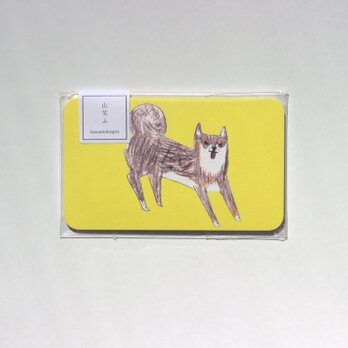 柴犬のメッセージカードの画像