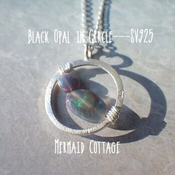 Black Opal in Circle---SV925/ブラックオパールの画像