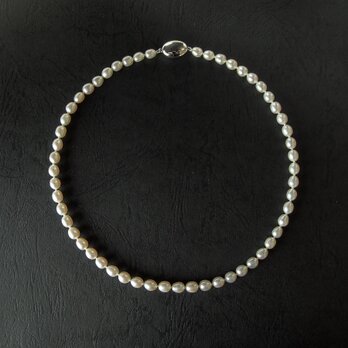 真珠のネックレスの画像