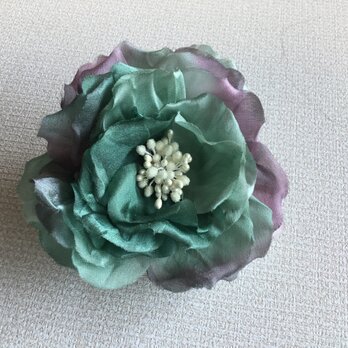 パープルとグリーンの薔薇