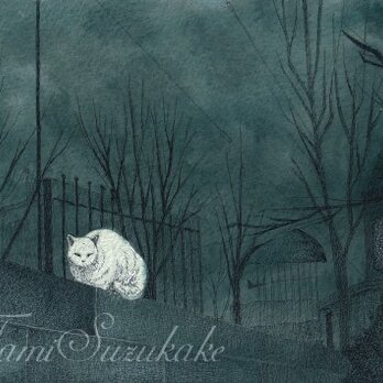 原画、水彩・ペン画「夜の白猫」の画像