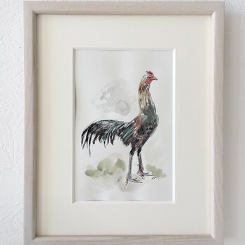 額付き水彩画「軍鶏」原画の画像