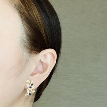 Lapis lazuli ＊ earringの画像