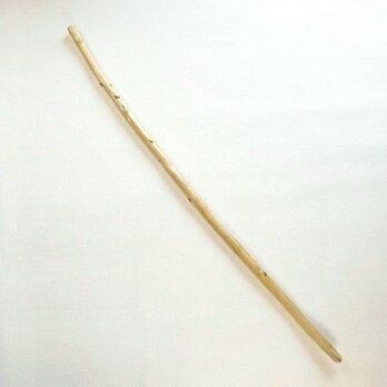 【温泉流木】クリーミーベージュの美しい細長枝流木棒、杖にも 流木素材 インテリア素材 木材の画像