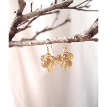 Beer Quartz Earrings【K14gf】ビアクォーツのふさふさピアスの画像