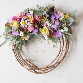 スターチスのハーフリース