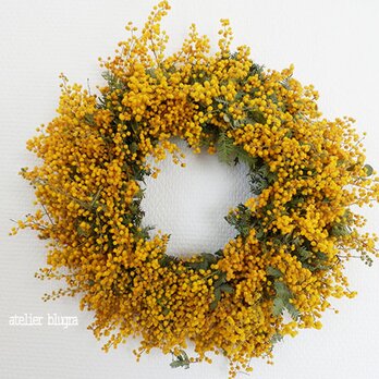 八ヶ岳〜春の気配ミモザのWreath010の画像