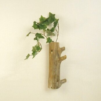 【温泉流木】枝が飛び出る細い流木幹の壁掛け一輪挿し 花瓶 流木インテリアの画像