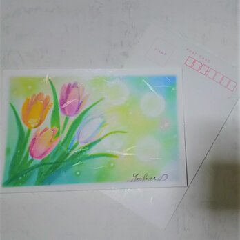 春彩るチューリップ絵葉書　和紙ポストカード3枚セット　パステルアート・イラストの画像