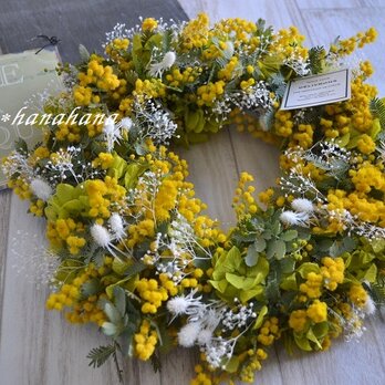 ミモザとかすみ草wreath