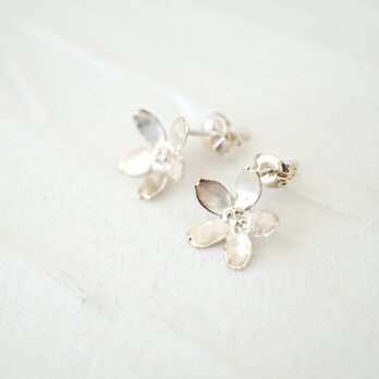 桜　ピアス　silverの画像