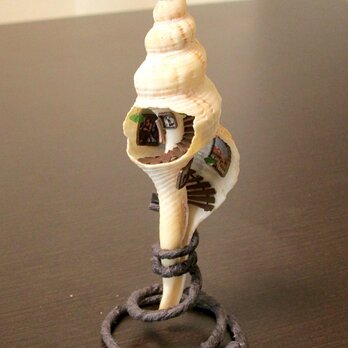 ［さい様ご依頼品］貝がら　ミニチュア　階段ミュージアム(再)