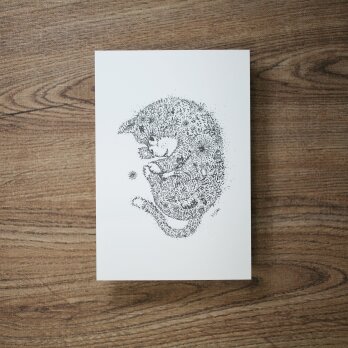 【2枚セット】酒井ひさお「芽吹く」活版印刷のポストカード・グリーティングカード/猫・ネコの画像