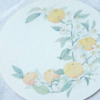 蜜柑月のカードの画像