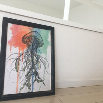 "jellyfish"絵の具の海のクラゲの画像