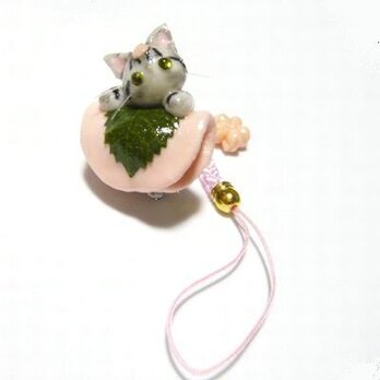 にゃんこのしっぽ○桜餅ストラップ〇桜〇アメリカンショートヘア〇猫