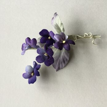 再出品小さなスミレ(A)