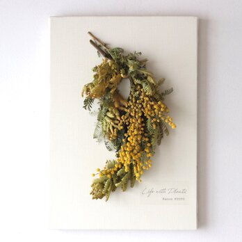 植物キャンバスL “ミモザ"【bdfa20003】ドライフラワー