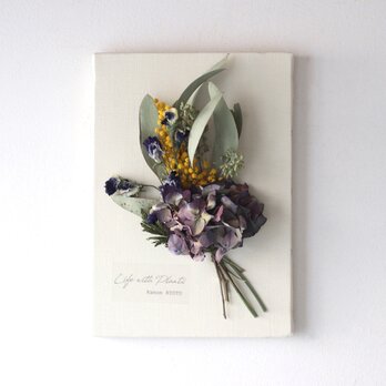 植物キャンバスM “スイトピーとアンティーク紫陽花のスワッグ” 【bdfa200013】ドライフラワーの画像