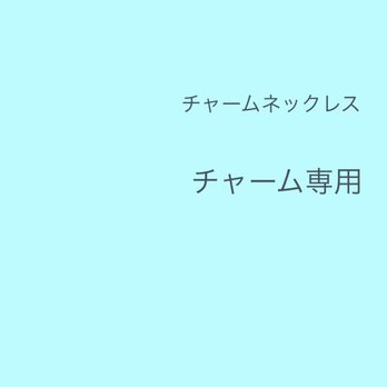 チャームのみの方専用の画像