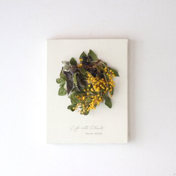 植物キャンバスS “真珠葉ミモザのリース”【bdfa200022】ドライフラワーの画像