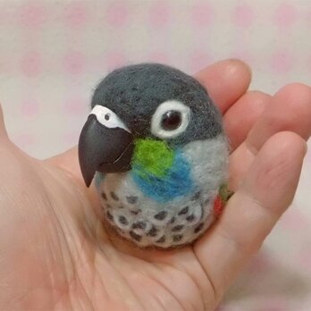 アオシンジュウロコインコ☆マグネット/ブローチどちらか選択 受注作成　羊毛フェルト　羊毛インコ　メモリアル　うちの子オーダー可能の画像