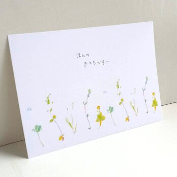 ほんの気持ちです　ポストカード２枚セット　水彩画「野花」　ナチュラル　アート　naturako　の画像