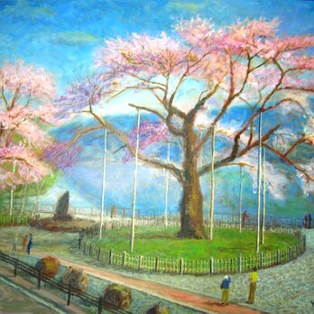 荘川桜の画像