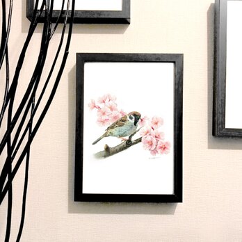 オリジナル 手描き 水彩  雀と桜 アートポスター　A4サイズの画像