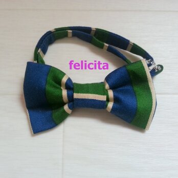 蝶ネクタイ　グリーン×ネイビー