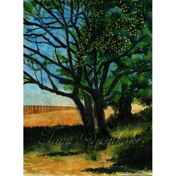 水彩画・原画「樹木のある風景」の画像