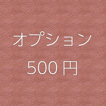 オプション500円の画像