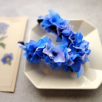 紫陽花のバナナクリップ ■ 水彩画トーン 紫陽花 ■ ブルーの画像