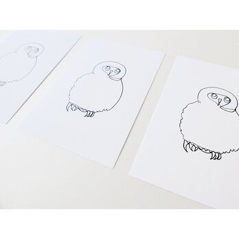 一筆書きのフクロウの赤ちゃん（ポストカード）3枚セットの画像