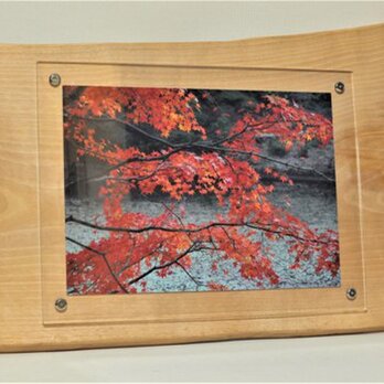 木製壁掛けフォトフレームA4サイズ対応　No.6水目桜の天然木の画像
