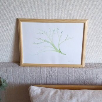 「tree」　原画　水彩画　A4サイズ　額装します　送料無料　癒やし　ナチュラルの画像