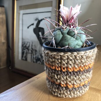 cactus鉢カバーの画像