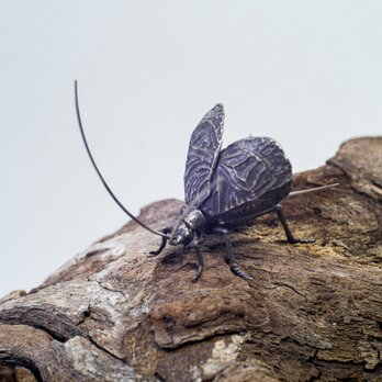 銀蟲細工『鈴虫 雄』の画像