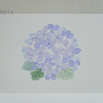 葉書〈紫陽花-3〉の画像