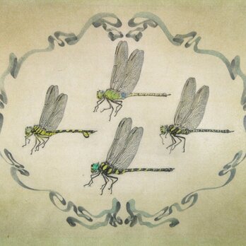 博物画シリーズ　《　蜻蛉　》　標本画の画像