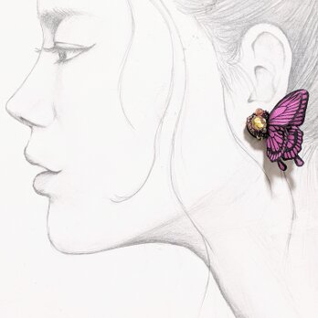 蝶のピアスの画像