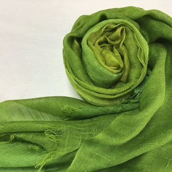 草木染め　絹ストール　緑グラデーションの画像
