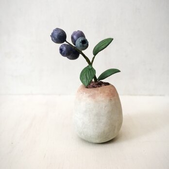 3791.bud 粘土の鉢植え ブルーベリーの画像