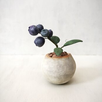 3792.bud 粘土の鉢植え ブルーベリーの画像