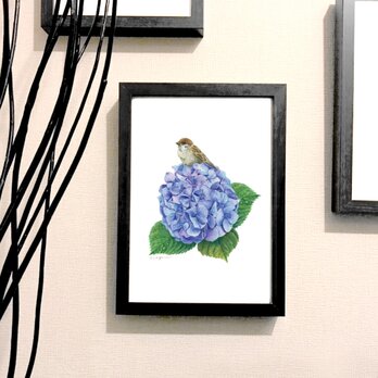 オリジナル 手描き 水彩  子雀と紫陽花 アートポスター　A4サイズの画像