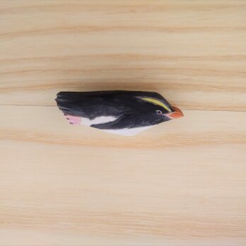 木彫りブローチ　シュレーターペンギンの画像