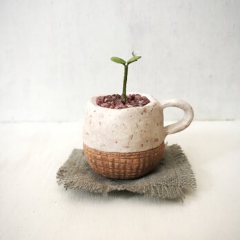 3803.bud 粘土の鉢植え マグカップの画像